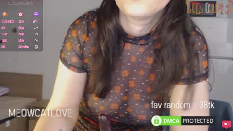 meowcatlove online show from 03-01-25, 10:42
