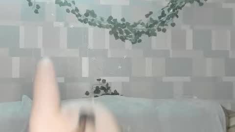 meowcr online show from 02-02-26, 03:00