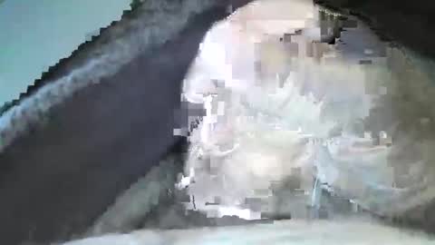 Snapshot of mexianthehawk chatting on 09-14-25, 10:09 mexianthehawk online show from 09-14-25, 10:09