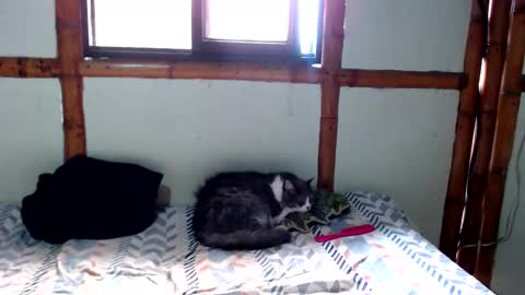 Mia  Sam online show from 11-24-25, 04:18