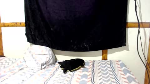 Mia  Sam online show from 12-16-25, 04:01