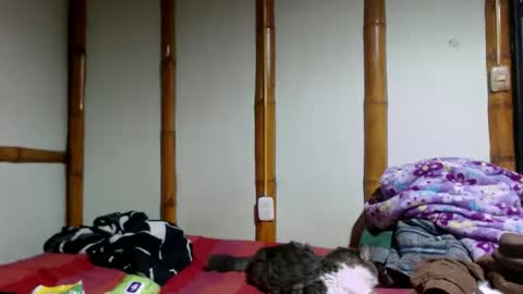 Snapshot of miahells chatting on 04-19-26, 05:12 Mia Sam online show from 04-19-26, 05:12