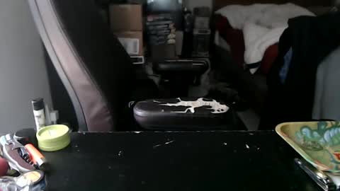 Snapshot of miaking chatting on 10-12-25, 04:39 Mark online show from 10-12-25, 04:39