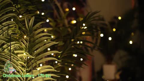 ask online show from 12-27-24, 01:22