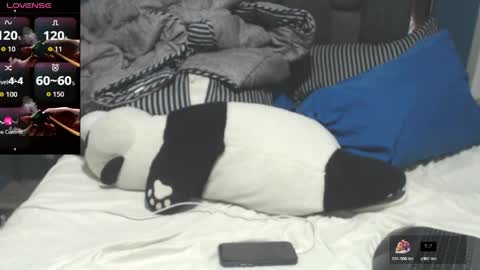 Snapshot of michaellstiffler_1109 chatting on 04-05-26, 01:47 michaell online show from 04-05-26, 01:47