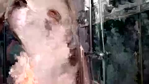 Snapshot of mickavis1975 chatting on 01-01-25, 05:55 mickavis1975 online show from 01-01-25, 05:55