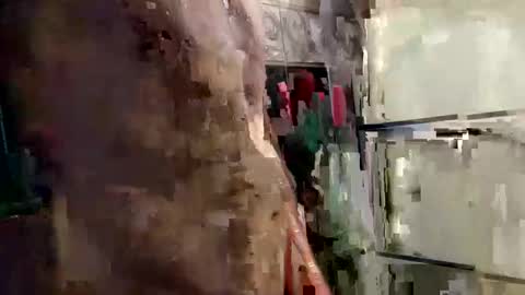 Snapshot of mickavis1975 chatting on 01-12-25, 06:05 mickavis1975 online show from 01-12-25, 06:05