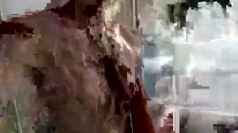 Snapshot of mickavis1975 chatting on 09-14-25, 04:06 mickavis1975 online show from 09-14-25, 04:06