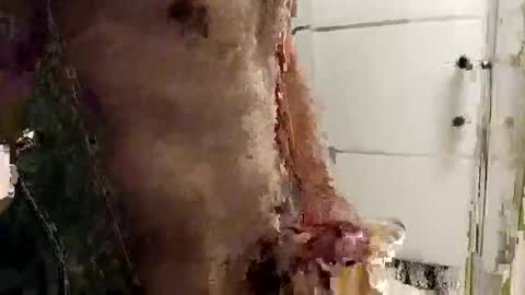 Snapshot of mickavis1975 chatting on 12-14-25, 05:40 mickavis1975 online show from 12-14-25, 05:40