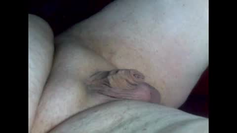 micropimmel online show from 02-26-26, 08:30