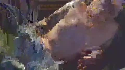 Snapshot of middle123456783939 chatting on 09-11-25, 06:52 middle123456783939 online show from 09-11-25, 06:52