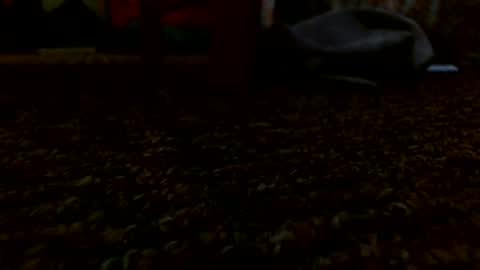 Miggy online show from 12-24-24, 05:55