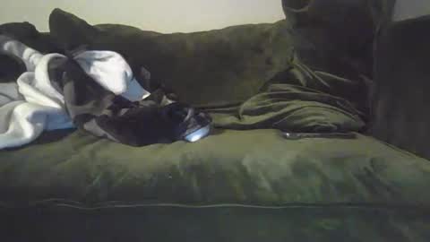 mike_davis44444 online show from 01-31-25, 07:07