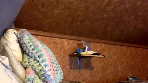 Snapshot of mikeblair5081 chatting on 12-18-25, 02:06 mikeblair5081 online show from 12-18-25, 02:06