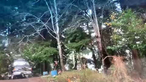 Snapshot of mikeblair5081 chatting on 12-22-25, 07:55 mikeblair5081 online show from 12-22-25, 07:55