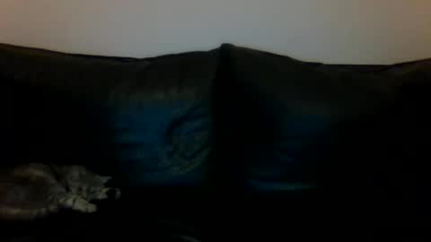 MilaGabor online show from 11-16-25, 06:24