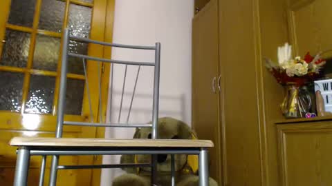 Snapshot of milk_and_hon3y chatting on 12-04-24, 06:11 Im to see you here Pvts are open I love patterns soo much online show from 12-04-24, 06:11