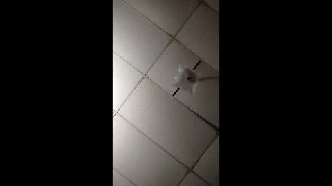 miloanj online show from 11-07-25, 04:45