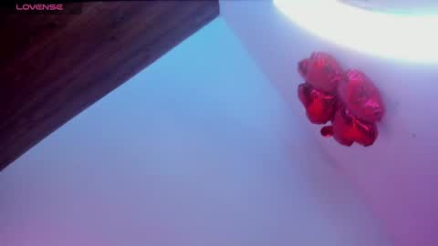 Snapshot of minami_nakamura chatting on 06-27-26, 02:38 minami_nakamura online show from 06-27-26, 02:38