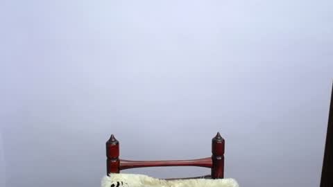 Snapshot of minato_kabuki chatting on 12-19-24, 11:25 MINATO online show from 12-19-24, 11:25