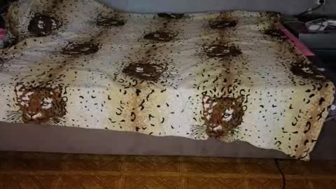 Happy New Year  online show from 11-10-25, 12:37