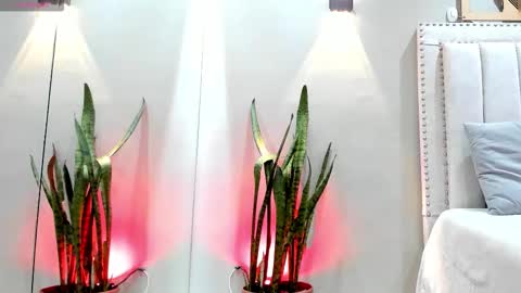    online show from 11-14-25, 12:04