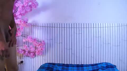 Mirandatroy online show from 12-02-25, 07:53