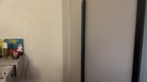 Snapshot of miroslavasong chatting on 11-10-25, 11:04 miroslavasong online show from 11-10-25, 11:04