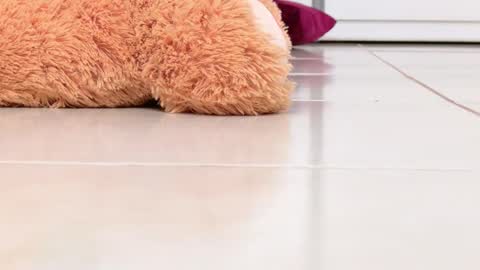 Alexa online show from 02-16-26, 08:16