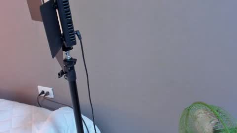 daniela online show from 10-27-25, 01:31