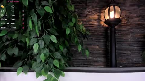 Danika online show from 02-21-25, 11:01