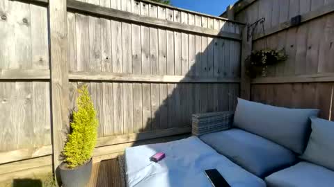  Miss Alex  online show from 03-21-26, 02:09