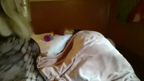 MichelleBunny7 online show from 02-05-25, 06:48