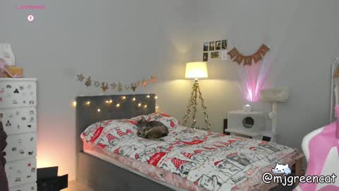 Snapshot of mjgreencat chatting on 12-13-24, 06:59 mj online show from 12-13-24, 06:59