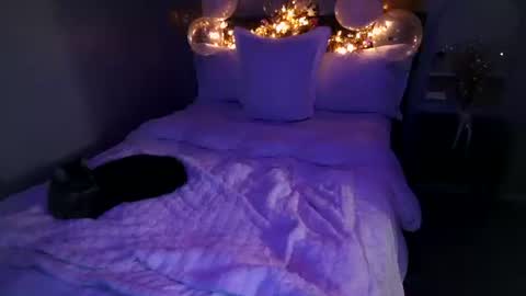 Angel online show from 02-20-26, 06:26