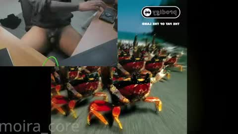 Snapshot of moira_core chatting on 07-24-26, 10:13 moira_core online show from 07-24-26, 10:13
