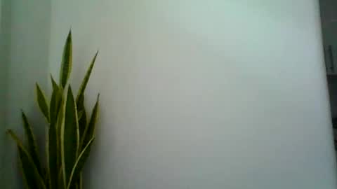 Snapshot of mollypepe chatting on 09-09-25, 09:42 mollypepe online show from 09-09-25, 09:42