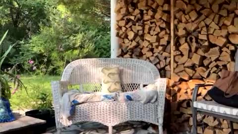 Snapshot of mommamia12 chatting on 07-31-26, 01:10 Mia online show from 07-31-26, 01:10