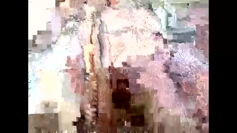 Richard Sheridan online show from 09-28-25, 09:53