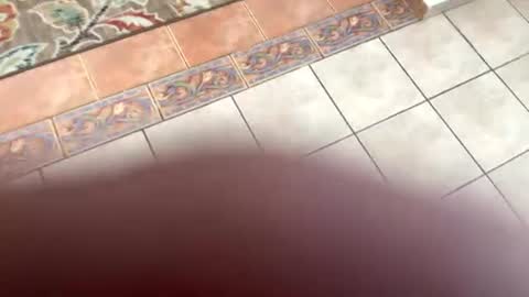 mommymona online show from 07-14-26, 08:14