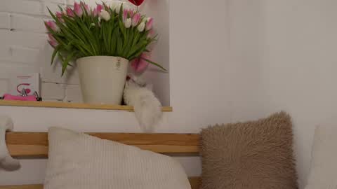 monicaasis online show from 03-08-25, 09:18