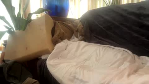 Snapshot of moon_man5 chatting on 09-29-25, 04:01 Mitchell online show from 09-29-25, 04:01