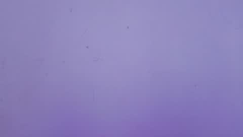 Winy online show from 02-17-26, 11:18