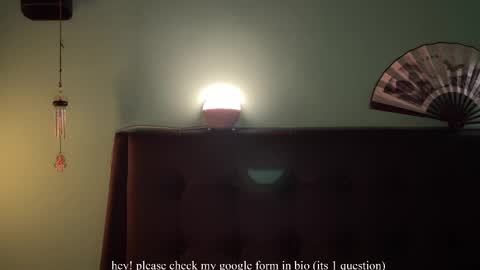 Snapshot of moonfaced_ chatting on 04-11-26, 05:50 Ann online show from 04-11-26, 05:50