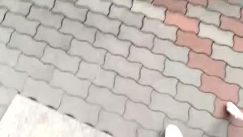 moos1 online show from 09-12-25, 12:16