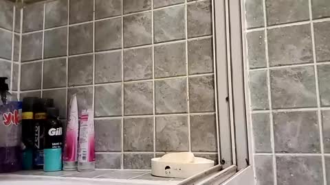 twennysevv27 online show from 12-15-24, 03:20