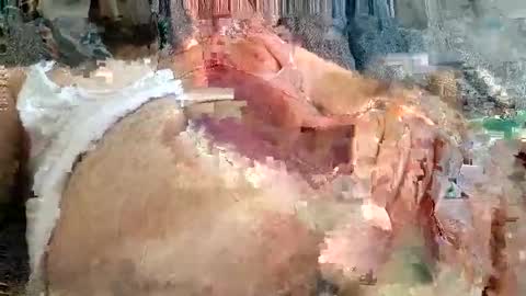 Snapshot of mosta977 chatting on 11-24-25, 12:05 Arab boy online show from 11-24-25, 12:05