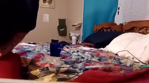 B online show from 02-04-25, 08:24