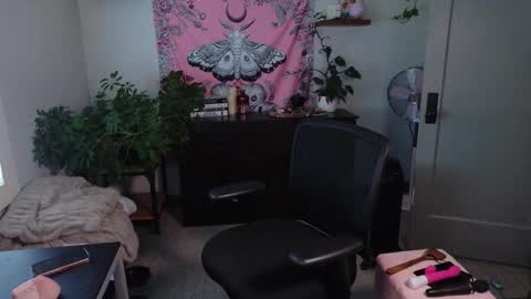 Mousie online show from 02-27-26, 07:47