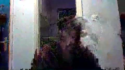 mppempis81 online show from 12-13-25, 07:53